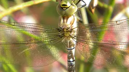 DSCN3567.webp