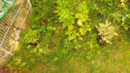 P1000611.webp