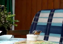 SDC14870-001.webp