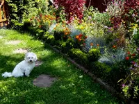 SDC14889.webp