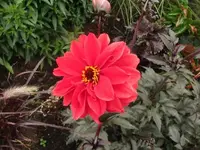 294.webp