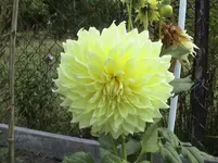DSC00001.webp