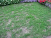 IMG_2793.webp