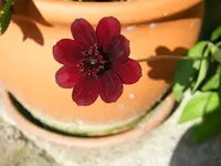 DSCF0149.webp