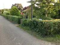 Hecke nachher.webp