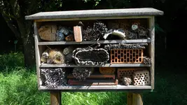 DSCN3538.webp
