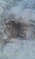 IMAG0230.webp