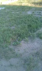 IMAG0231.webp