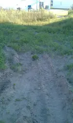 IMAG0229.webp