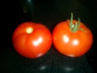 CIMG0007.webp