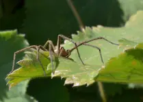DSC_9828 Wer bin ich.webp