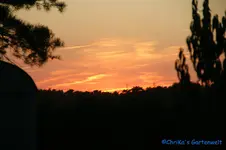 comp_DSC08406.webp
