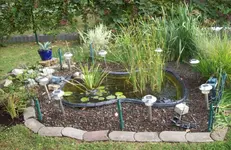 Teich.webp