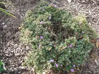 2012_0815120008.webp