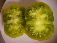 tomaten 026.webp
