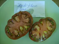 tomaten 058.webp