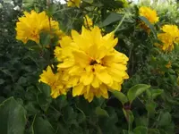 026.webp