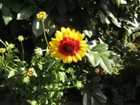 032.webp