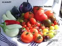 BILD0618.webp
