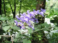 IMG_0741.webp