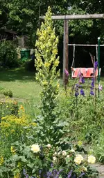 web_Juni 0133.webp