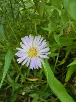 CIMG1117.webp