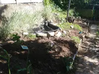 2012-05-12 16.13.34.webp