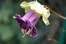 DSC_3834.webp