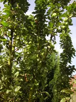 DSC02742.webp