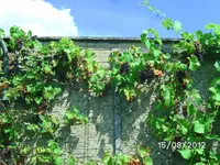 BILD1349.webp