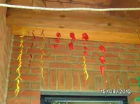 BILD1355.webp