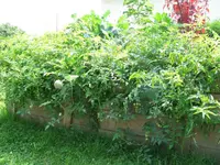 IMG_8992.webp