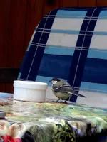 SDC14874.webp