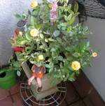 DSCN6699.webp