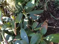 Foto 3.webp