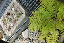 2012_0815Sommer0029.webp