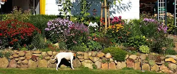rechte Seite Hang_900.webp