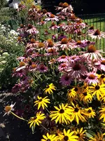 IMG_0483.webp
