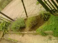 P170812_14.03_[02].webp