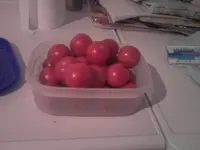 P170812_20.30.webp