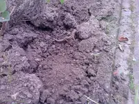 P170812_11.28.webp