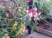 P100612_13.14.webp