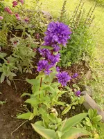 P150612_11.13_[02].webp