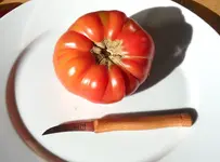 Erstes Tomatensugo 2012 (2).webp