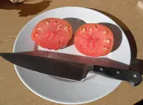 Erstes Tomatensugo 2012 (3).webp