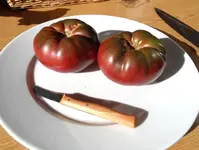 Erstes Tomatensugo 2012 (4).webp