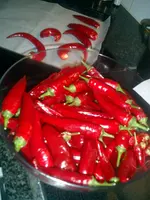 CIMG0002.webp