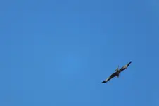 2012_0818Sommer0005.webp