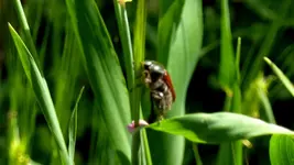 001.webp