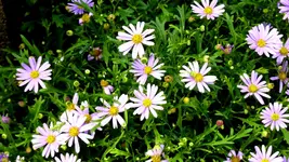 018.webp